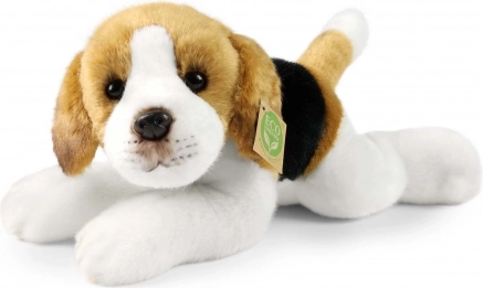 pluchen beagle hond liggend 30 cm eco-friendly