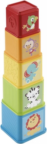 Kleurrijke stapeltoren Fisher-Price