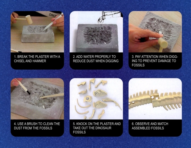WOOPIE opgraafset 6in1 dinosaurus skeletten voor jonge archeologen