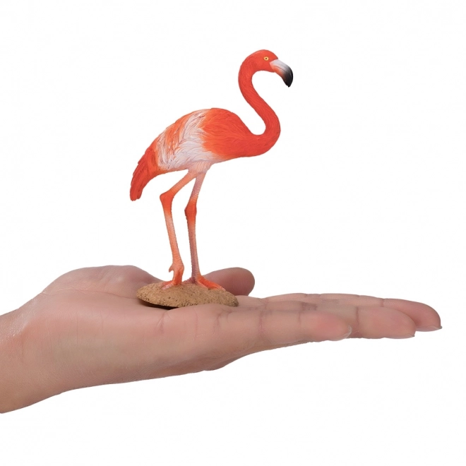 Mojo Amerikaanse Flamingo