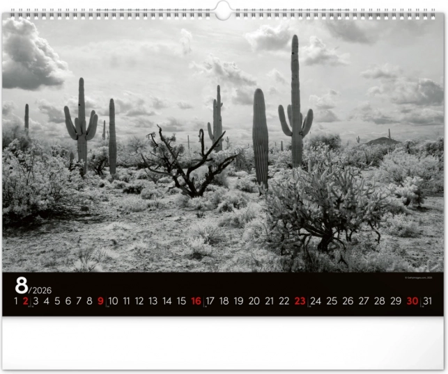 Wandkalender Dromerige Landschap 2026