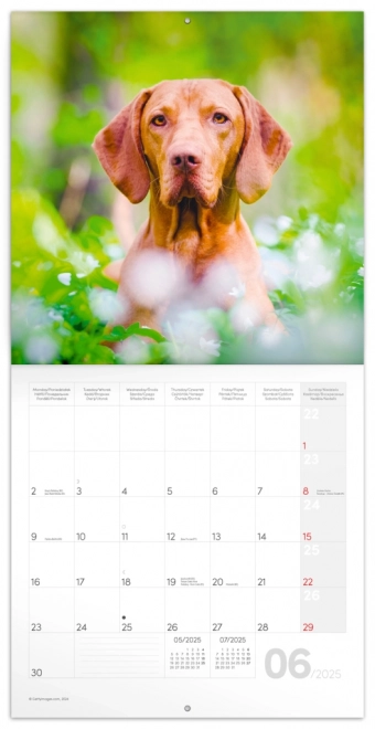 Notitie Kalender Honden 2025, 30 × 30 cm