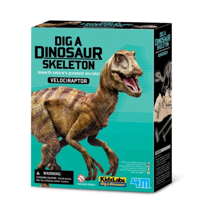 Opgravingsset - Velociraptor