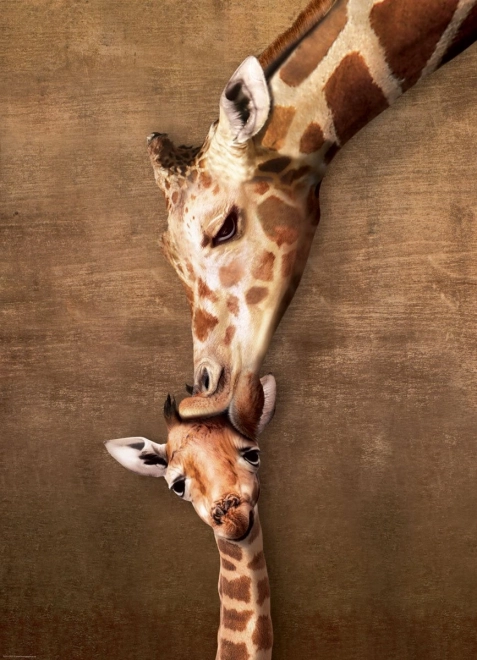 Eurographics puzzel Kus van de giraffe 1000 stukjes