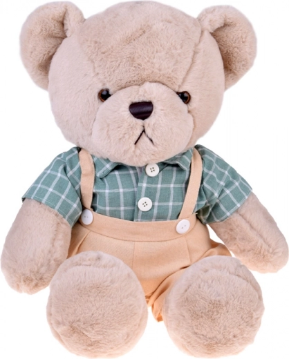 Stijlvol overhemd in retro ruit