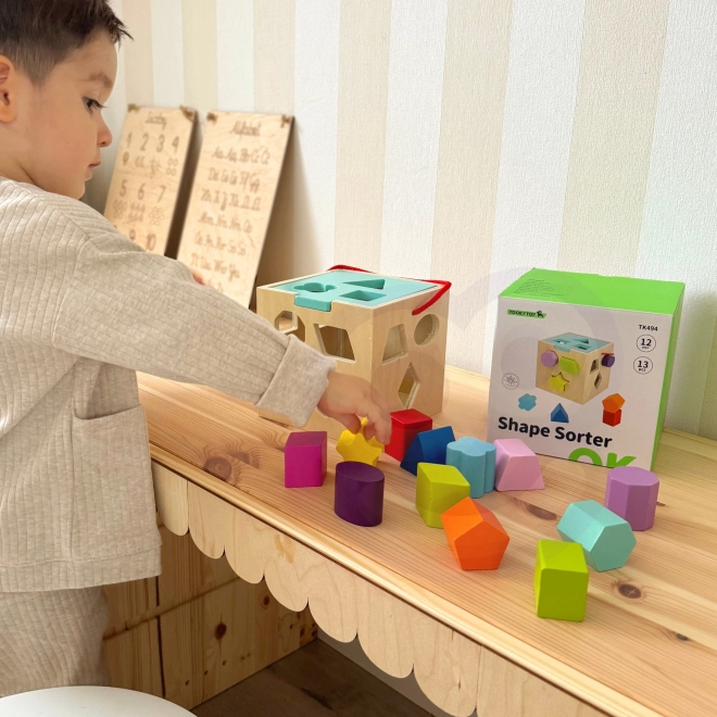 Houten blok met vormen TOOKY TOY