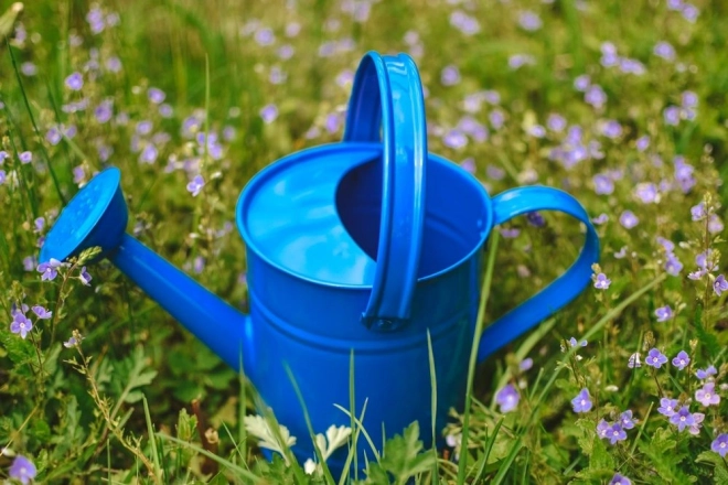 Blauwe metalen gieter Woody