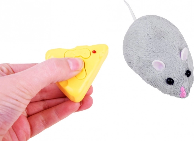 Interactief plezier voor katten en kinderen