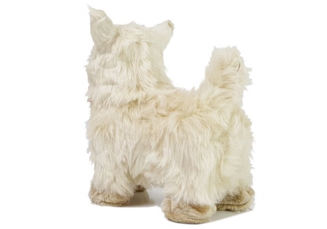 Interactieve Chihuahua Hond beweegt, blaft