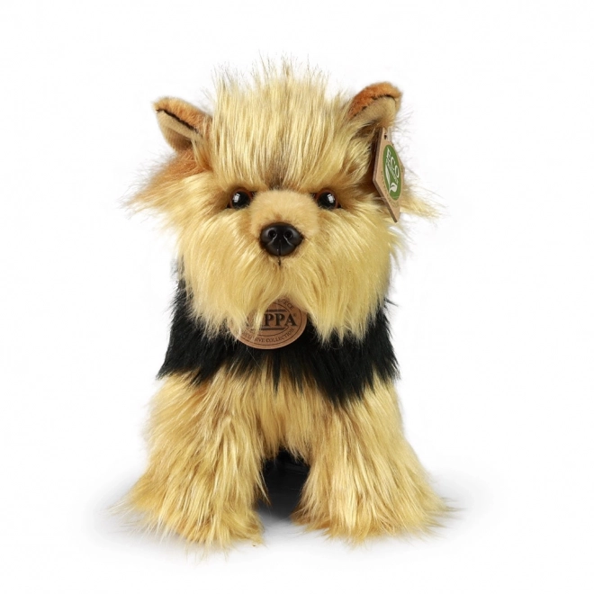 Pluchen hond Yorkshire Terrier 25 cm ECO-VRIENDELIJK