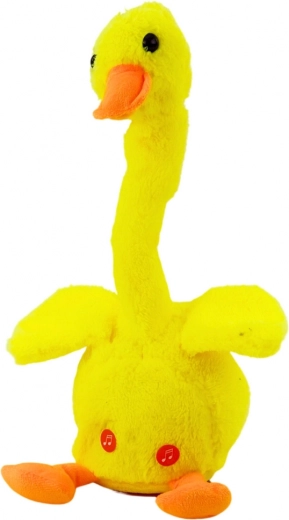 Herhaalt woorden en vermaakt het hele gezin