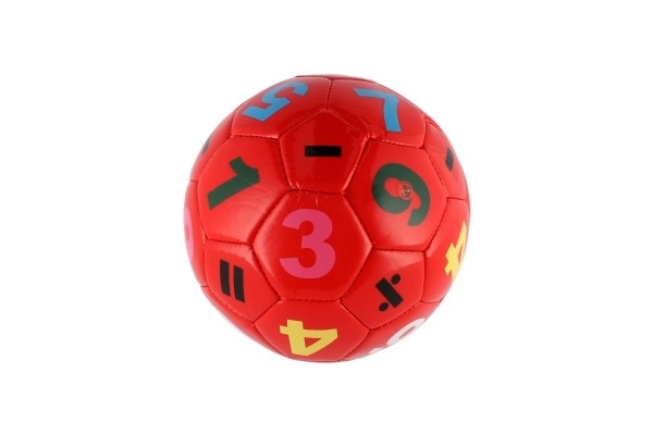 Kleine junior voetbalbal opgeblazen gestikt 15cm leer in netzak