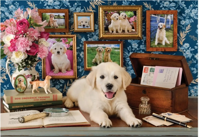 Puzzel Labrador 500 stuks