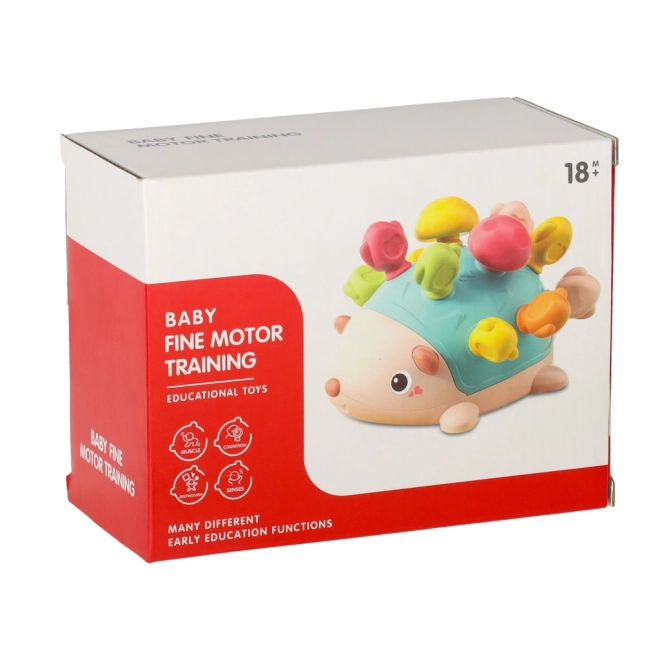 Egel sensorisch Montessori groen
