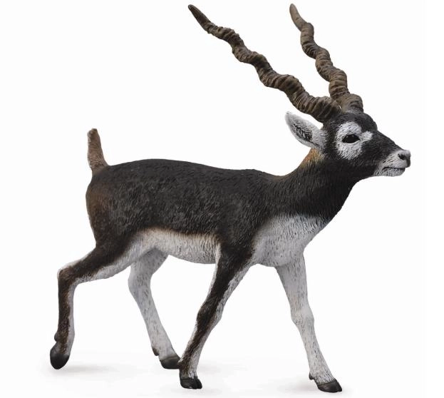 Antilope herten