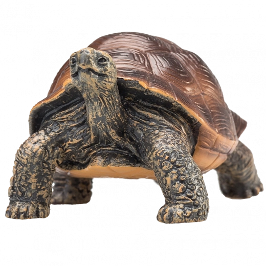 Mojo figuur reuzenschildpad – realistisch dierenfiguur