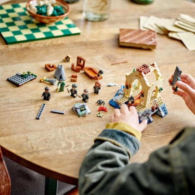 LEGO Harry Potter Huis aan het Meer bij Zweinstein