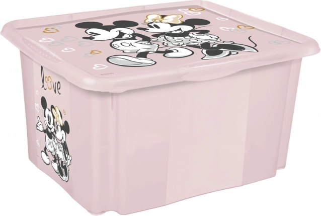 Opbergbox Minnie Klein Roze