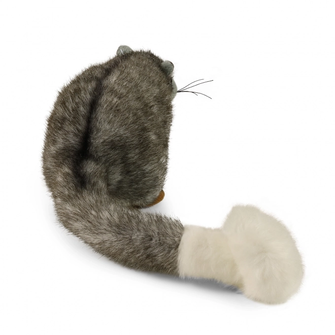 Pluchen possum ecologisch