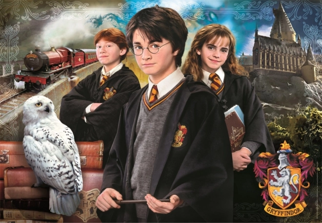 Puzzel 1000 stukjes Harry Potter van Clementoni