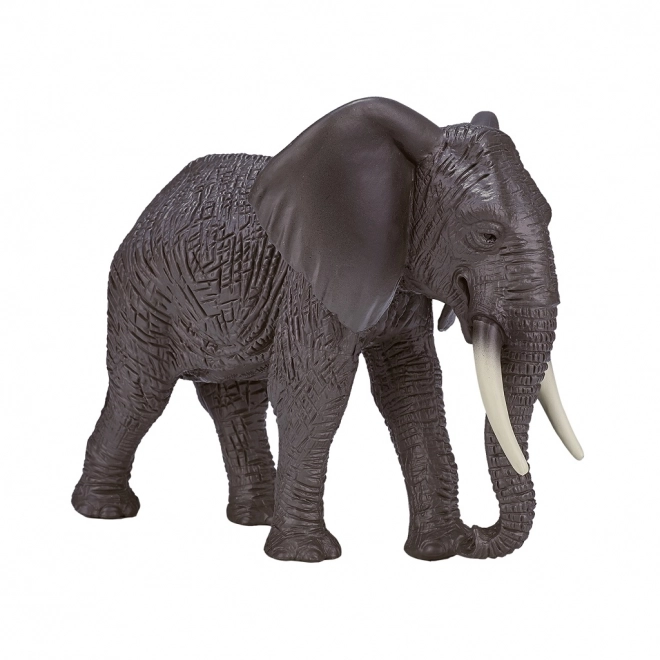Mojo Afrikaanse Olifant