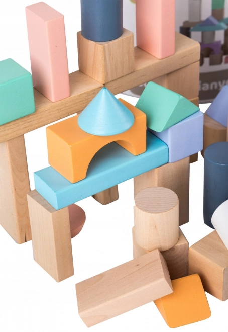 Houten blokken 100 st met emmer inclusief sorteerder Ecotoys