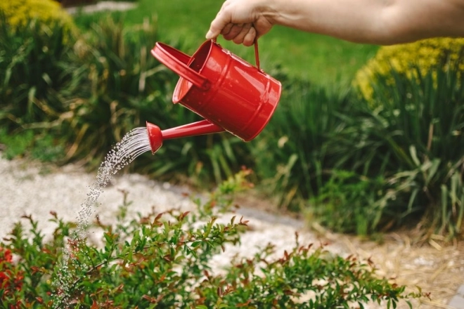 Tuin speelgoed - metalen gieter rood