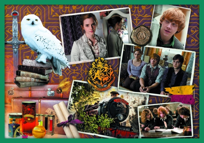 Puzzel Harry Potter - In de wereld van Harry Potter 10-in-1