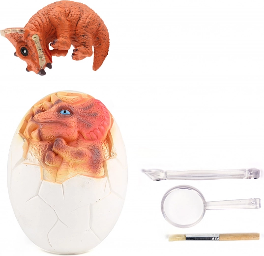 Alles wat kleine paleontologen nodig hebben