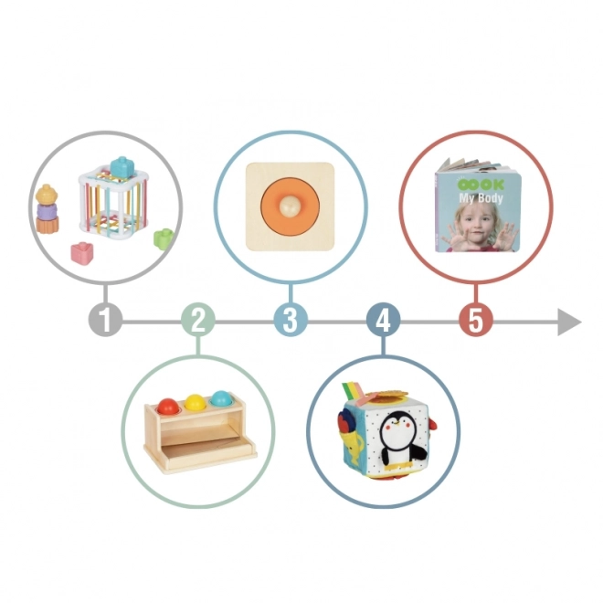 Educatieve box montessori XXL 5v1 voor baby's 11-12 maanden