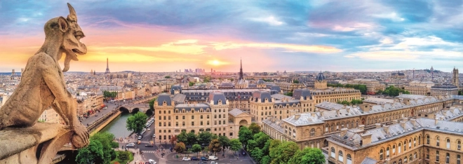 Panoramische puzzel Uitzicht vanaf de Notre-Damekathedraal 1000 stukjes