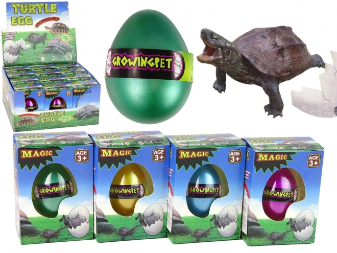 Magisch ei met groeiende schildpad 6 cm