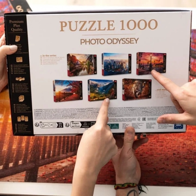 TREFL Puzzel Premium Plus Foto Odyssee: Kasteel Neuschwanstein 1000 stukjes