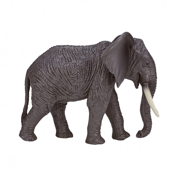 Mojo Afrikaanse Olifant