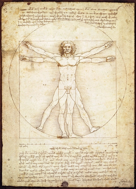EUROGRAPHICS Puzzel Vitruvian man - proporties van het menselijk lichaam 1000 stukjes