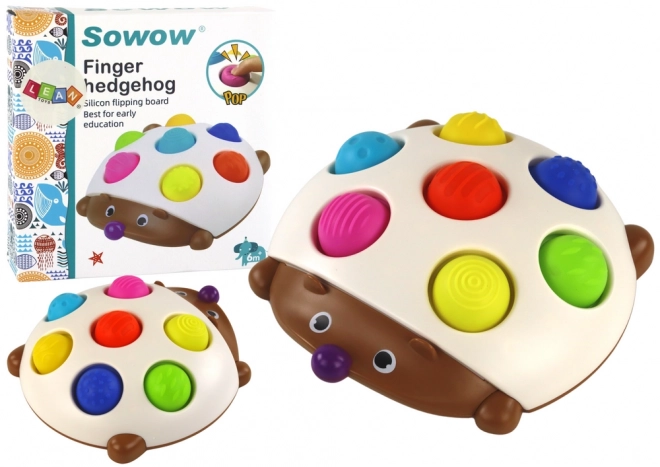 Zintuiglijke egel leuk Montessori bord