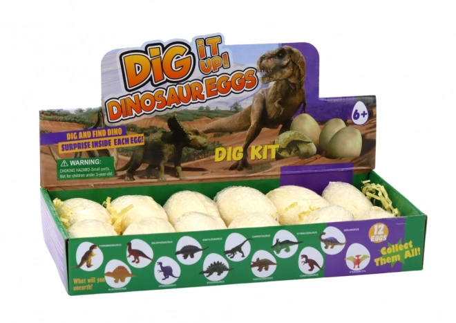 Archeologische Set Uitgravingen Dinosauruseieren Kaarten 12 Stuks