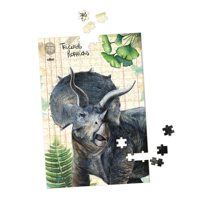 Vilac set van drie puzzels met dinosaurussen