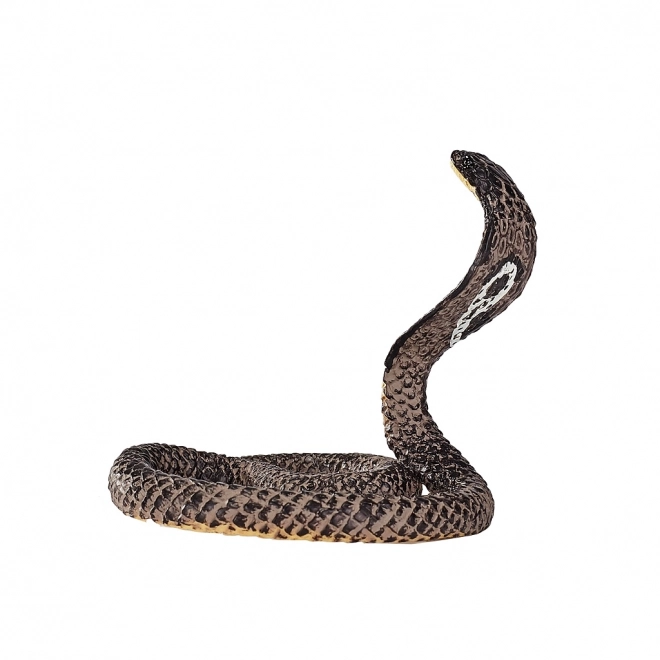 Mojo Koningscobra