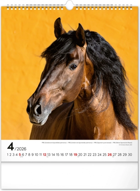 Wandkalender Paarden 2026