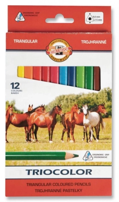 KOH-I-NOOR Driekantige kleurpotloden Triocolor 12 stuks