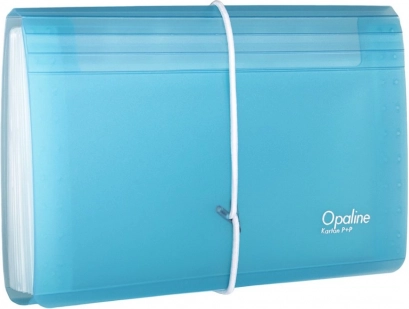 Documentenorganizer met elastiek DL Opaline transparant-blauw
