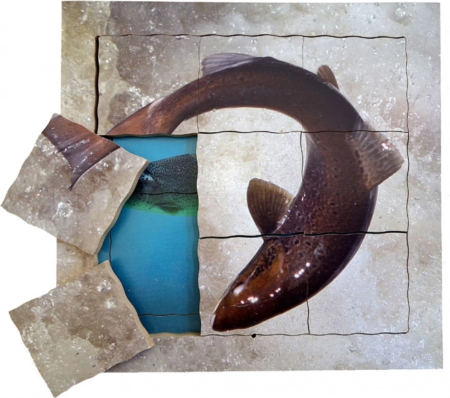 Just Jigsaws Zalm en zijn levenscyclus - houten gelaagde puzzel