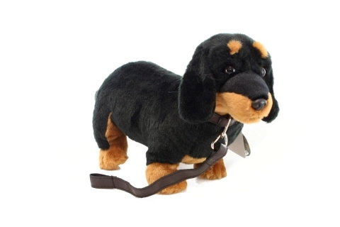 Pluche Teckel 36 cm