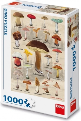 Dino puzzel paddenstoelen collage 1000 stukjes