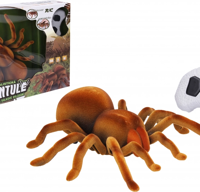 Tarantula op afstandsbediening 24 cm