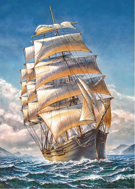 Puzzel CHERRY PAZZI Zeilschip WR Grace 1000 stukjes