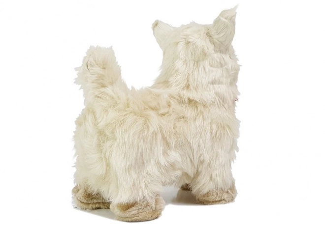 Interactieve Chihuahua Hond beweegt, blaft