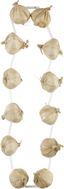 Decoratieve ketting met knoflook
