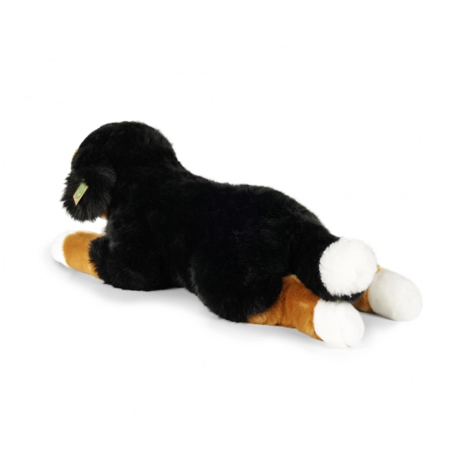 Grote pluchen Berner Sennenhond liggend 61 cm